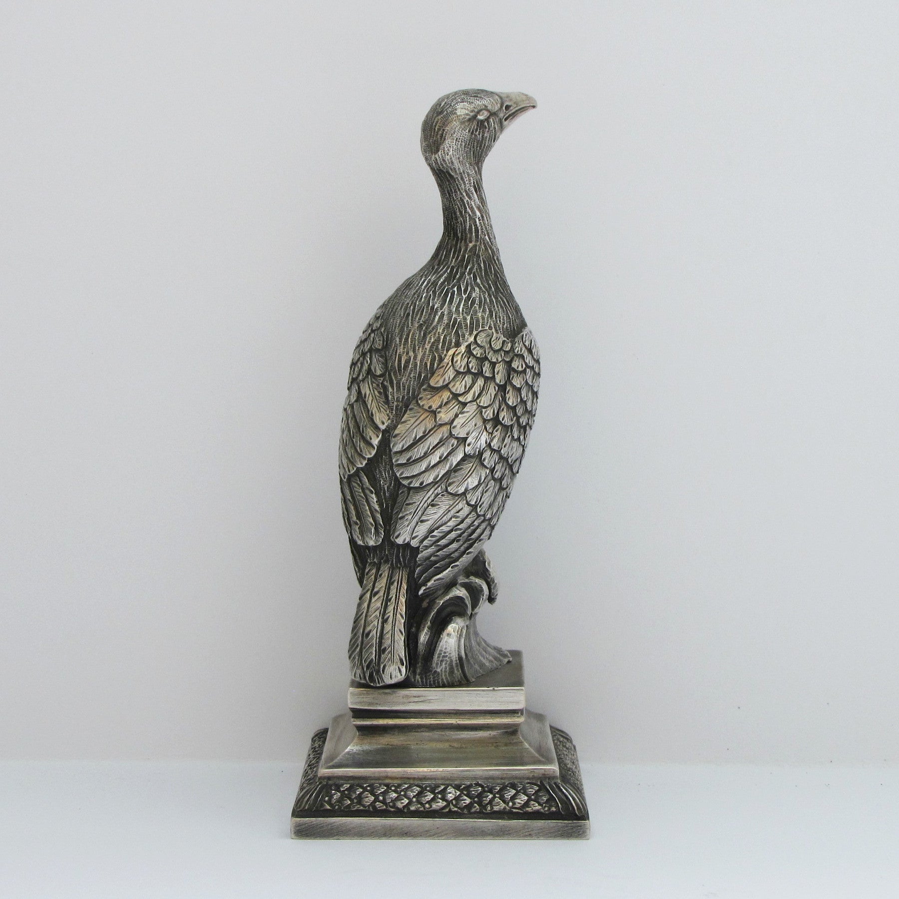 Cormorán