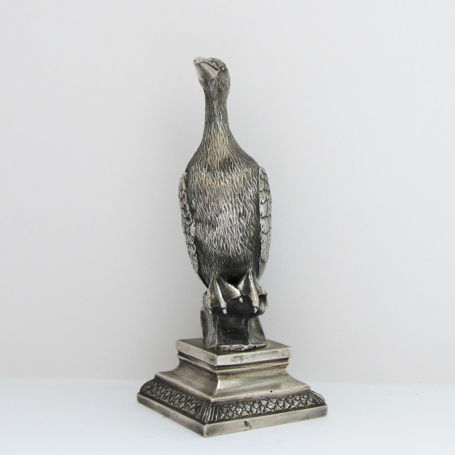 Cormorán