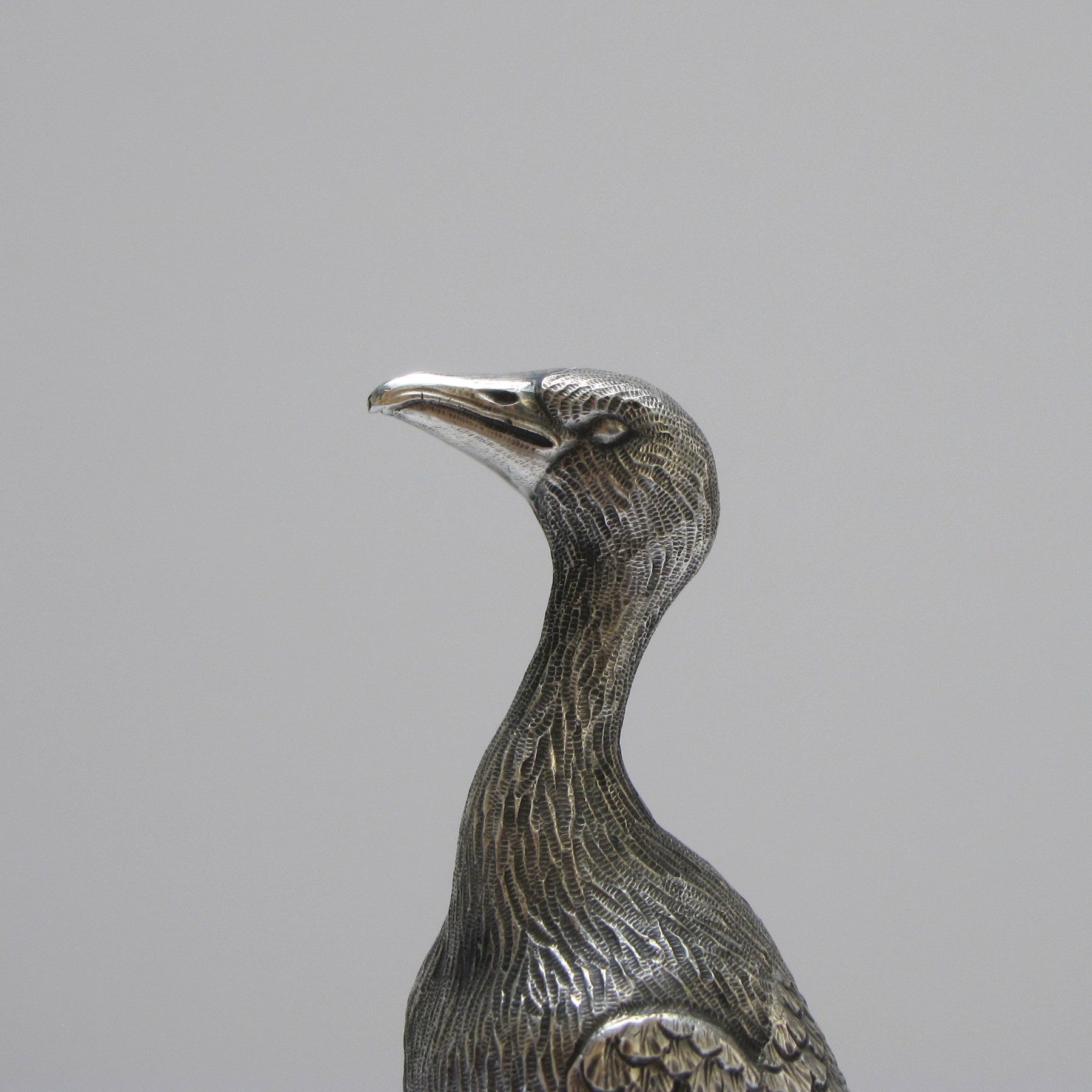 Cormorán