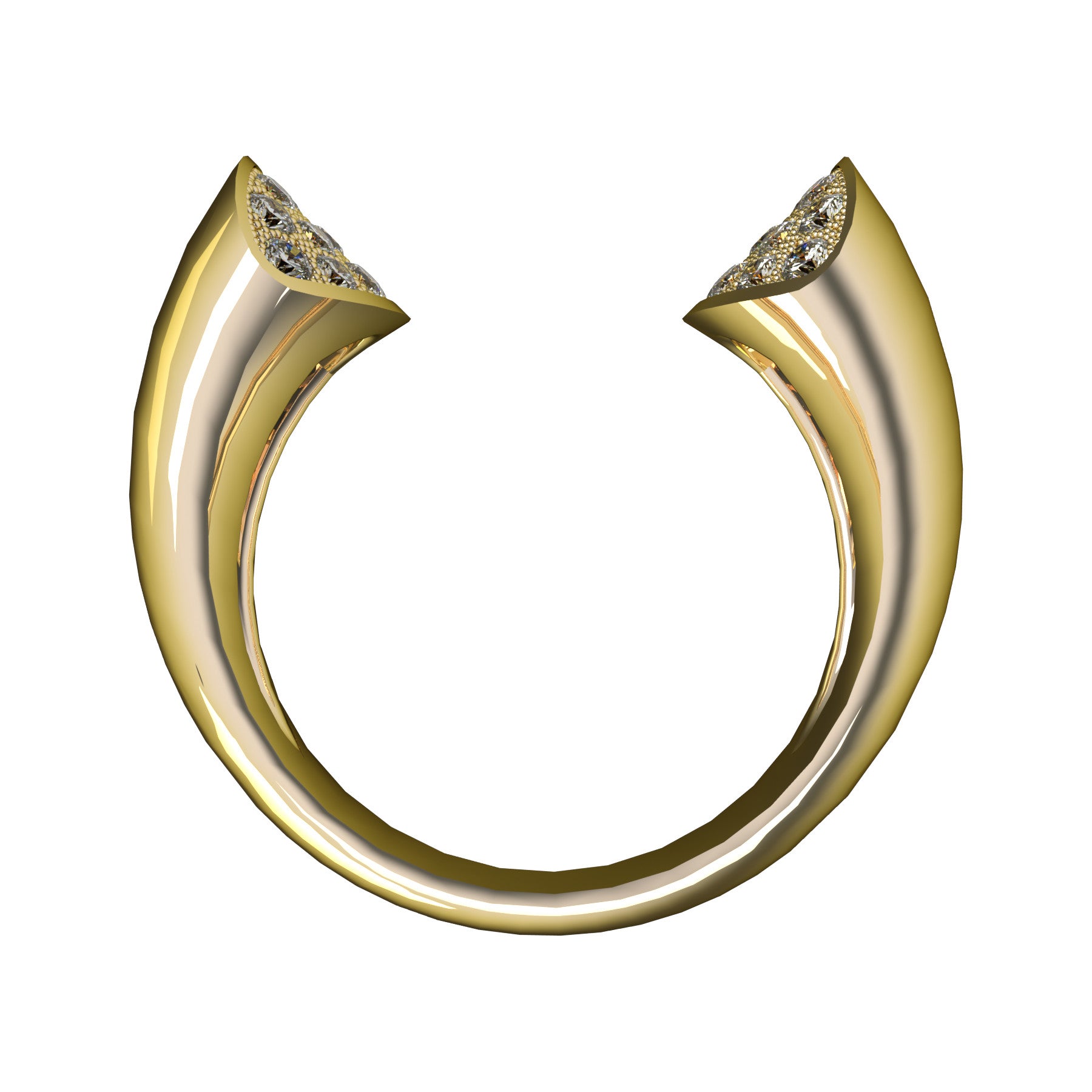 Anillo Ellipse