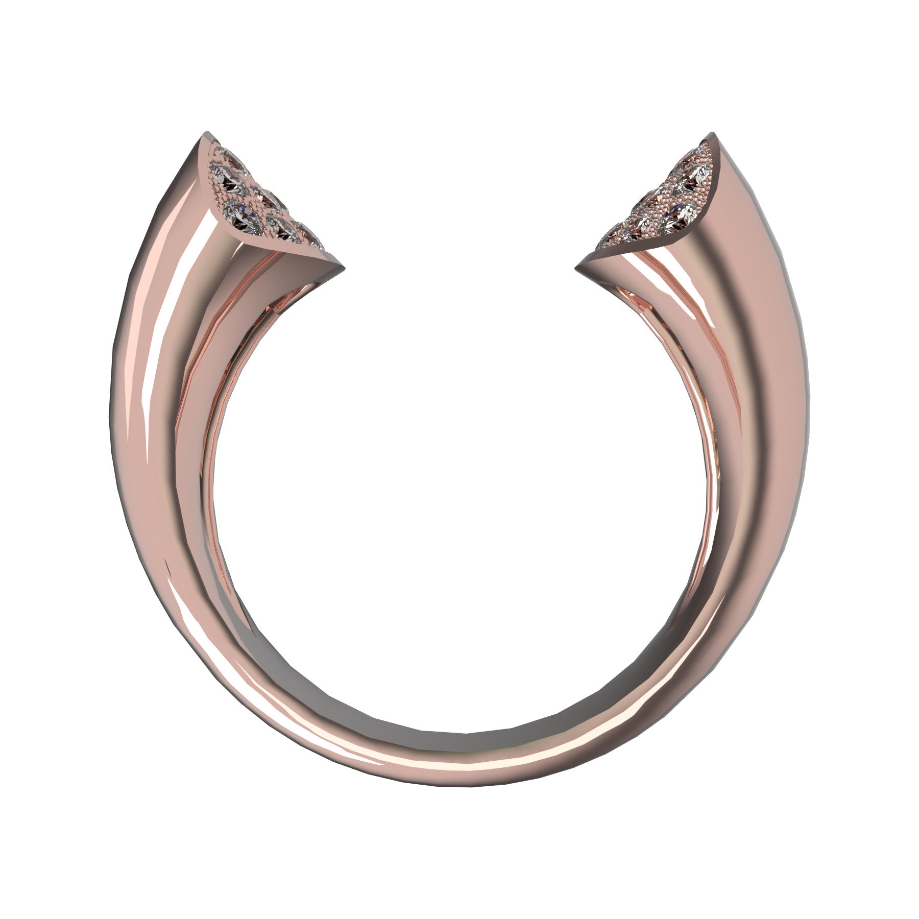 Anillo Ellipse